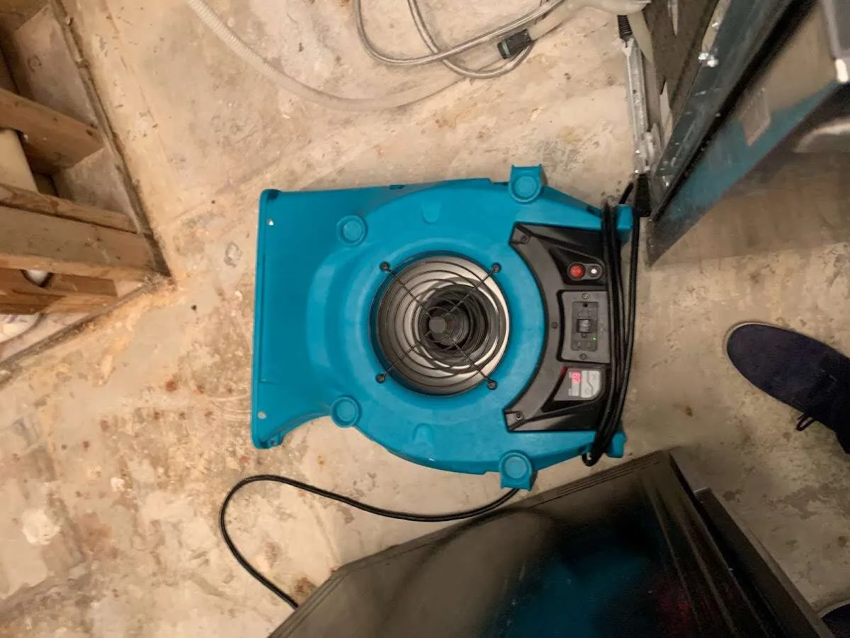 Air mover drying equipment for Mold Remediation & Removal in Tullahoma